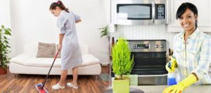Femme de ménage déménagement